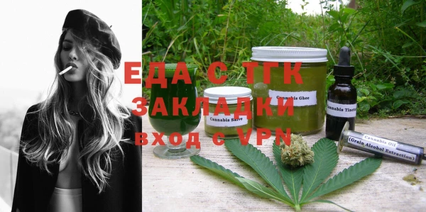 гидра Заводоуковск
