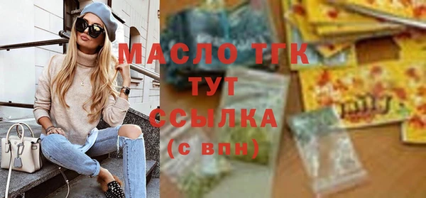 гидра Заводоуковск
