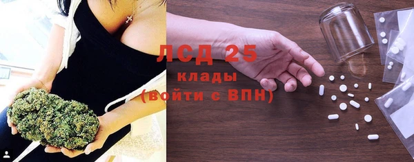гидра Заводоуковск