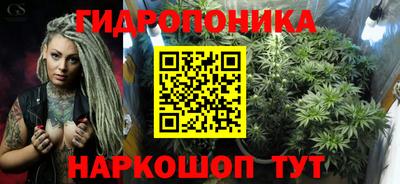 мет Кимры