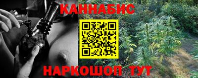 трава Кингисепп
