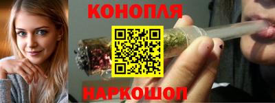 трава Кингисепп
