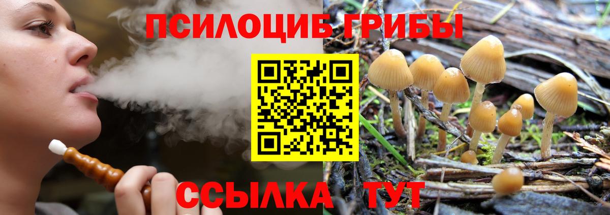 Котельники  Галлюциногенные грибы GOLDEN TEACHER  Вход с VPN 